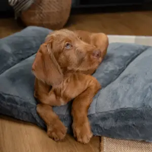 Maya Ortho – orthopädisches Hundekissen – 80x60 cm