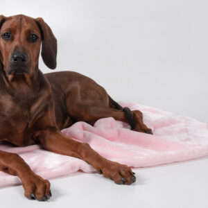 Trendpet Coco – weiche Kuscheldecke für Hunde und Katzen – Rosa